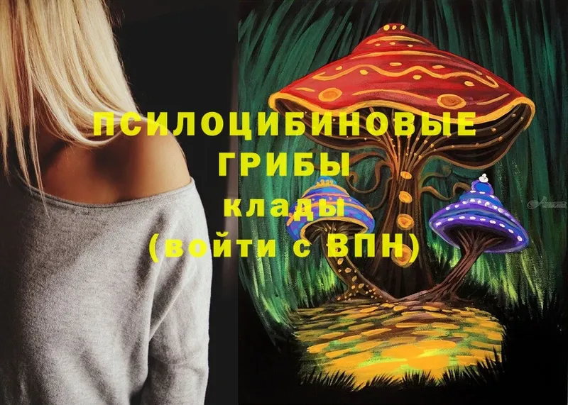 МЕГА сайт  Усолье-Сибирское  Псилоцибиновые грибы Psilocybe 